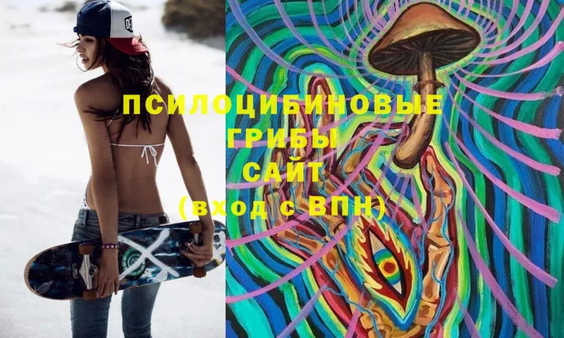 Псилоцибиновые грибы Cubensis  Кудымкар 