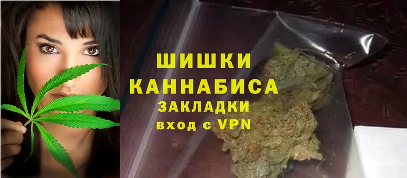 Бошки Шишки семена  Кудымкар 